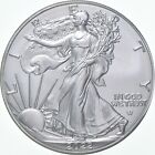 Better Date - 2022 American Silver Eagle 1 Troy Oz .999 Fine Silver *583