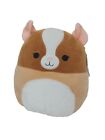 Squishmallow Garret Guinea Pig 12 Inch Brand New Hard To Find!!