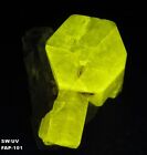 Super rich Fluorescent Fluorapatite & Muscovite from Shigar Valley, Pakistan 101