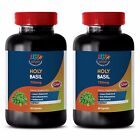 Antioxidant Multivitamin - Holy Basil 745mg - Holy Basil Dry Leaves Pills 2B