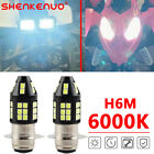 For Honda Rancher 350 2000-2003 H6 LED Headlight Super Bright Bulbs 2pcs 6000K (For: Suzuki King Quad 700)