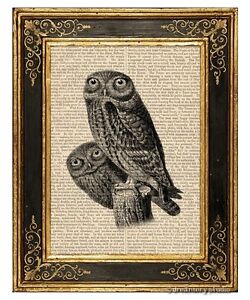 Owl Pair #2 Art Print on Vintage Book Page Birds Home Office Wall Hanging Decor