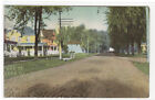 Oak Street Scene Lena Illinois 1910c postcard