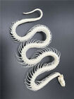 Animal Taxidermy 1pcs Real Snake Skeleton Skull Animal Specimens About 35-45cm