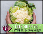 850+ Cauliflower Seeds [Snowball] Vegetable Gardening Seed, Heirloom, Non-GMO
