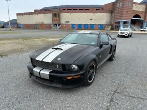 2007 Ford Mustang GT Shelby CSN No. 07SGT566