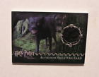 Harry Potter-Screen Used-POA-Film-Movie-Cinema-Relic-LE-Prop Card-Grim Fur