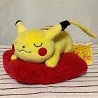Pokemon Monthly Pikachu Plush Toy 2003 Pokemon Center Limited Used from japan
