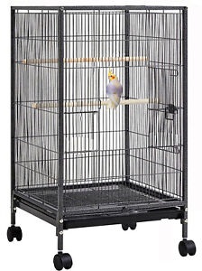 Large Wrought Iron Play Top Birds Cage Rolling Stand Parrots Conure  Cockatiel