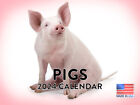 Pig 2024 Wall Calendar