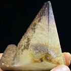321g Natural Brown Dog Tooth Calcite & Yttrium Fluorite Crystal Mineral Specimen