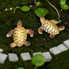 New Listing1pcs Miniature Dollhouse Bonsai Fairy Garden Landscape Sea Turtle Decor 35mm ~;z