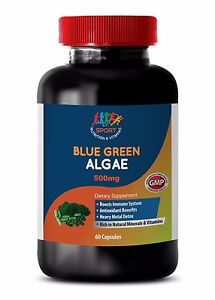 energy vitamins for men - ORGANIC BLUE GREEN ALGAE 500MG 1B - spirulina raw orga