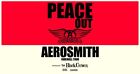 2 300 LEVEL Tickets Aerosmith 2/26/25 Buffalo