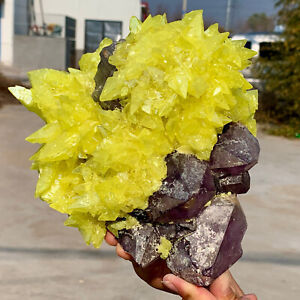 7.95LB Minerals ** LARGE NATIVE SULPHUR OnMATRIX Sicily With+amethyst Crystal