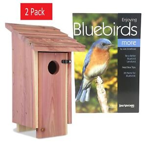 2 PACK Classic Natural Red Cedar Bluebird Wild Bird House, Bird Safe House