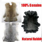 Genuine Natural Rabbit Fur Skin Tanned Leather Hides Craft Gray Pelts Decor New