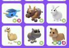 New ListingAdopt-Me-Compatible Bundle Of Pets As Pictured Quick Delivery