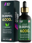 Chlorophyll Liquid Drops 6000 MG - Antioxidant for Immune Boost & Fast Detox