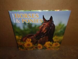 Horses & Ponies 2024 Calander