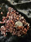 100% Natural RED Garnet Crystal Gems Rough Stone Mineral Specimen 200 cts