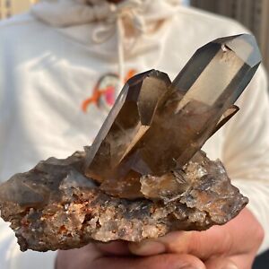 394G Natural Beautiful Black Quartz Crystal Cluster Mineral Specimen