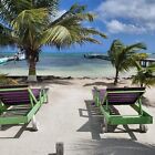 Beach scene 14 x 11 inch Art Print Photo of Belize (frame not included)