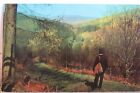 Scenic Beacons National Park Brecon General View Postcard Old Vintage Card View