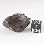 Sikhote-Alin Meteorite | 34.77 Grams | Individual | Iron IIAB | Shrapnel