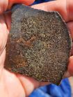 New ListingHUGE Brachinite Meteorite, Primitive Achondrite 25.47g, NWA 16170