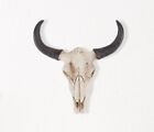 9 Texas Longhorn Cow Skull Wall Hanging Long Horn Steer Western Event Decor US