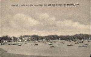 Pine Orchard Connecticut Sheldon House from Harbor sailboats Collotype postcard