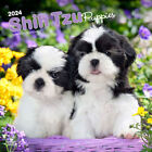 Browntrout Shih Tzu Puppies 2024 12 x 12 Wall Calendar w