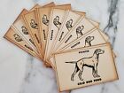 CALO Dog Food Vintage Mail-In Glow Dogs Pointer (x9) Oakland California Coupons