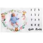 Newborn Baby Monthly Weekly Growth Milestone Photography Prop