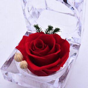 ️Eternal Preserved Real Rose Flower Acrylic Crystal Box Valentine's Day Gift New