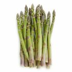 Mary Washington Asparagus Seeds | Non-GMO | Heirloom Vegetable Garden Seeds