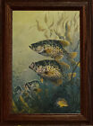 Terry Doughty Black Crappies Fishing Decorator Art Print-Framed 10.5 x 15