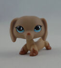 Mini Pet Shop Toys Dachshund Wiener Dog Rare Brown LPS #518 Blue Eyes Animals