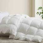 Extra Warm Winter Comforter Super Fullfy , White Goose Down Duvet Insert