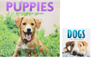 2 pack Of 12 Month 2024 Wall Calendar Puppies 22