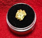 California Natural Gold Nugget 3.0 Grams in a Gem jar w/lid