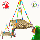 2164 Large Rainbow Mat Medium Natural Swing Bird Parrot Toy Conure Cockatiel