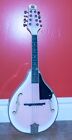 Mandolin Instrument a Style Mandolin Musical Instrument for Beginners Kids Adult