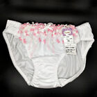 US SIZE L Japanese QUALITY SHINY TRICOT TULLE LACE PANTIES