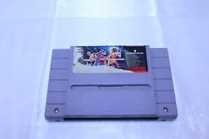 Super Nintendo Game Cartridge Best of the Best Championship Karate Working SNES