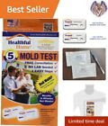 Mold Test - Accurate, Detects Mold Spores & Allergens - No Waiting for Labs