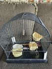 Vintage CROWN Bird Cage w/Feeders Seed Guard Swing Wood Perches Metal VTG