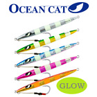 Slow Pitch Jigging Fast Fall Jig Saltwater Fishing Lures with Rigged Circle Hook