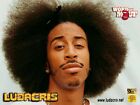 Ludacris Music Videos Dvd